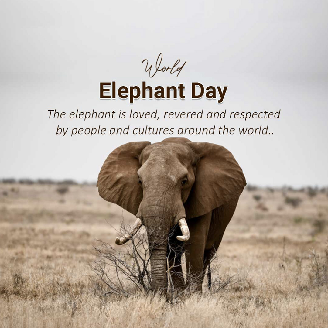 World Elephant Day