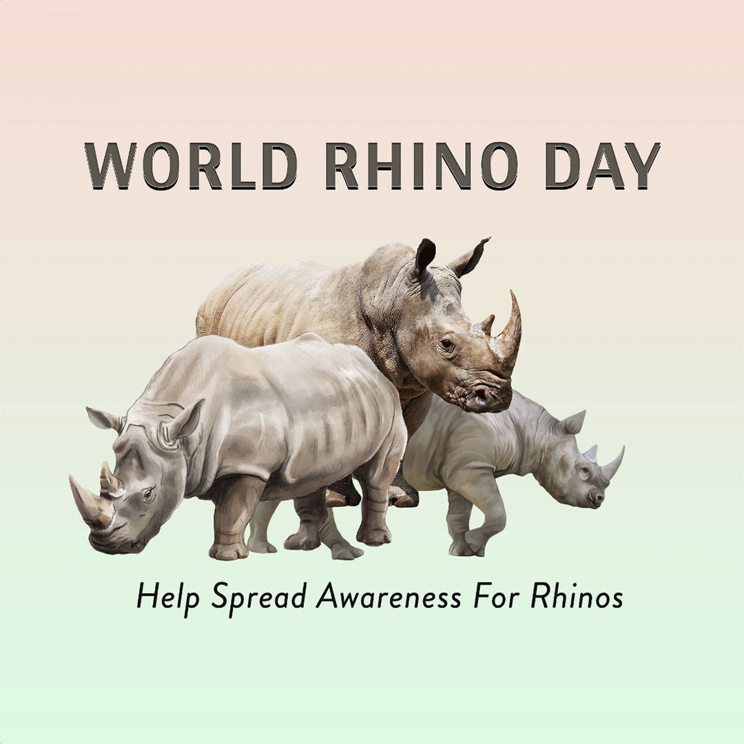 World Rhino Day