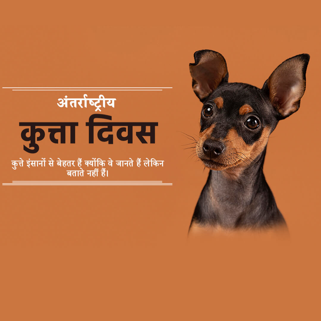 International Dog Day