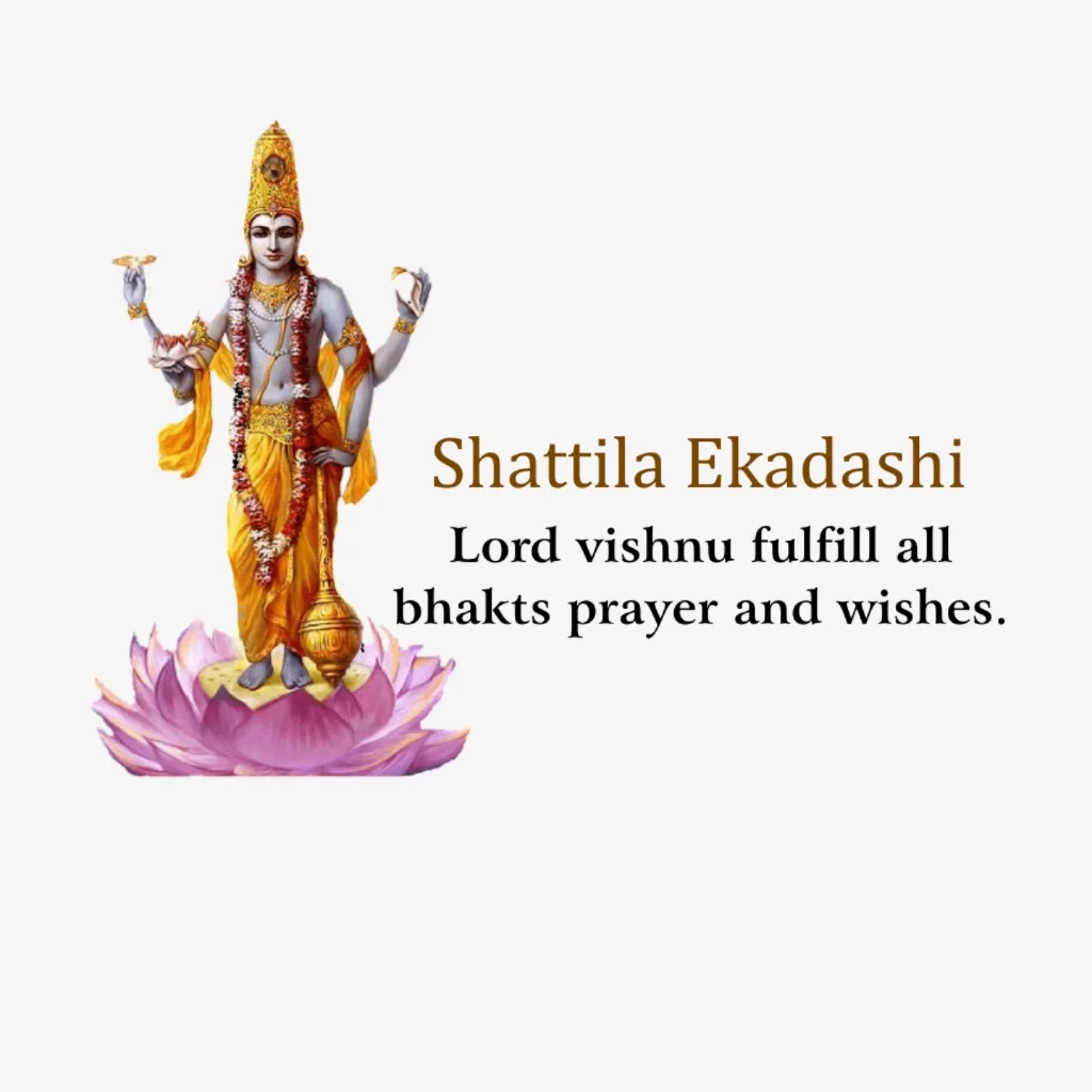Shattila Ekadashi