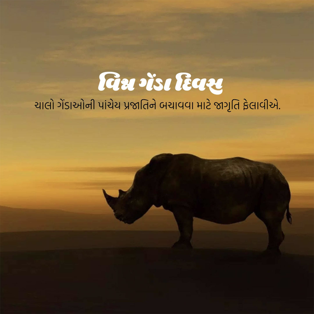 World Rhino Day