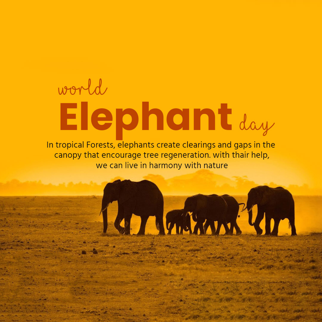 World Elephant Day