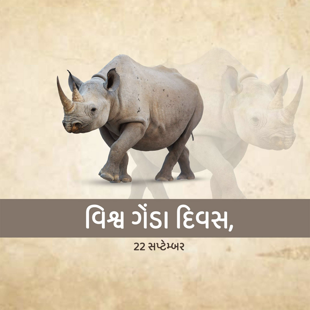 World Rhino Day