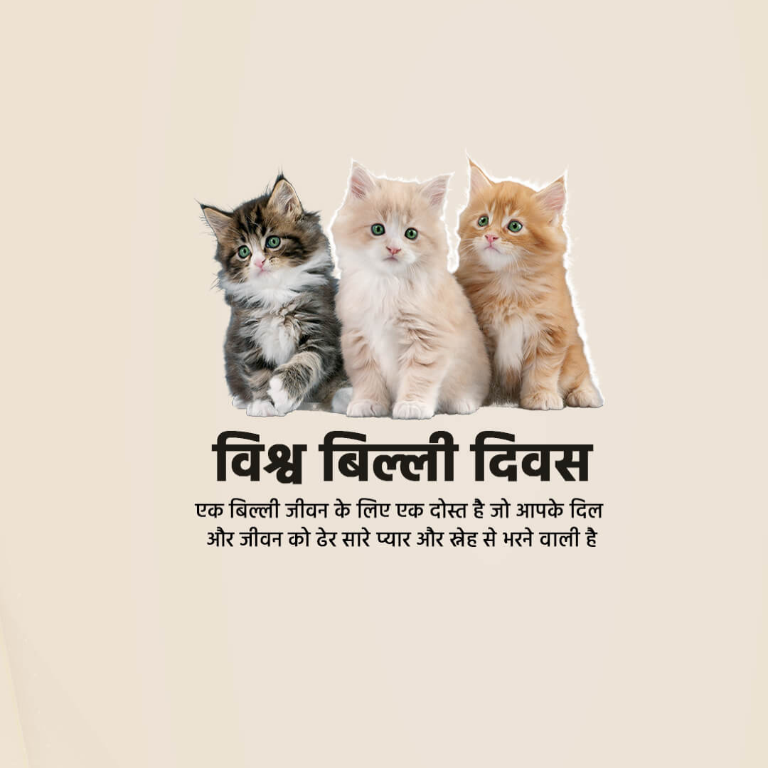 World Cat Day
