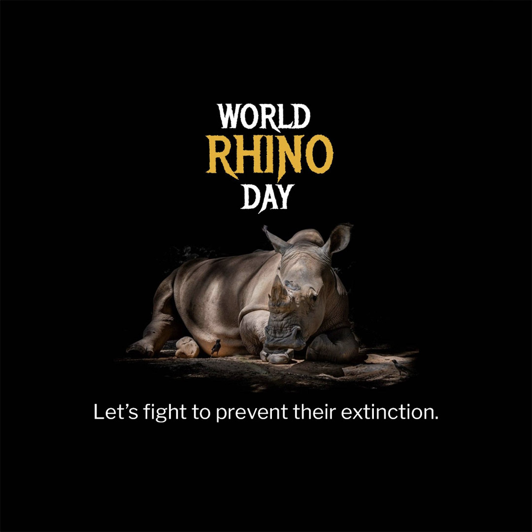 World Rhino Day