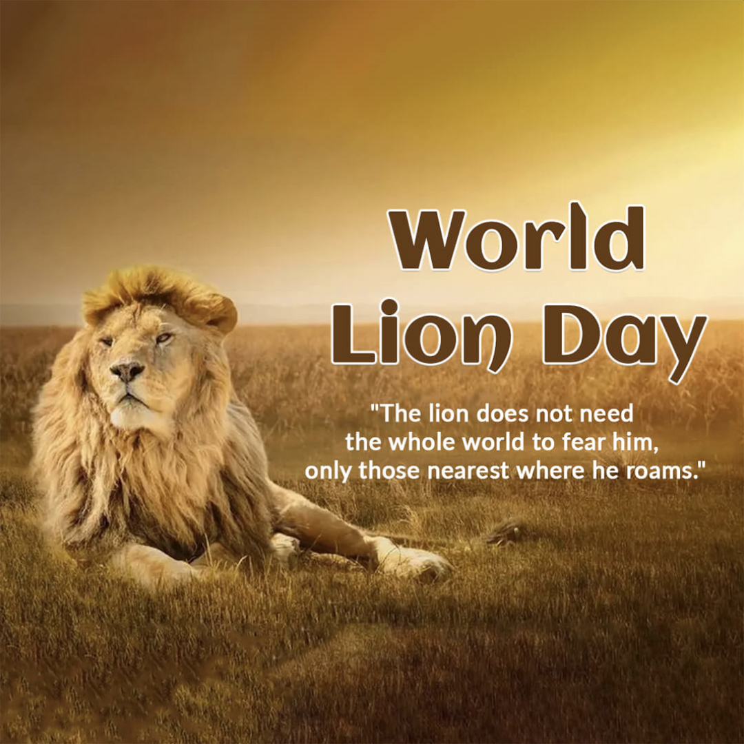 World Lion Day