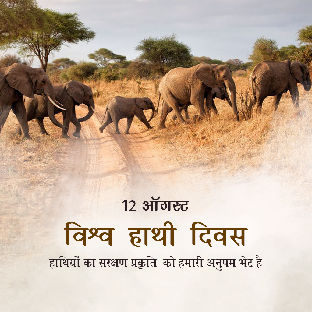World Elephant Day
