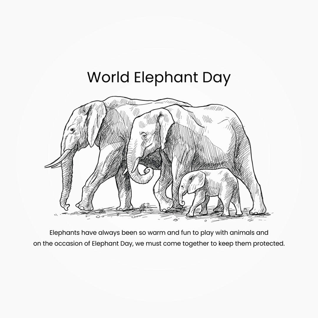 World Elephant Day