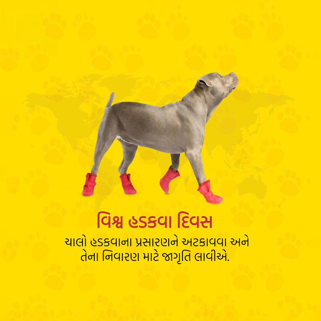 World Rabies Day