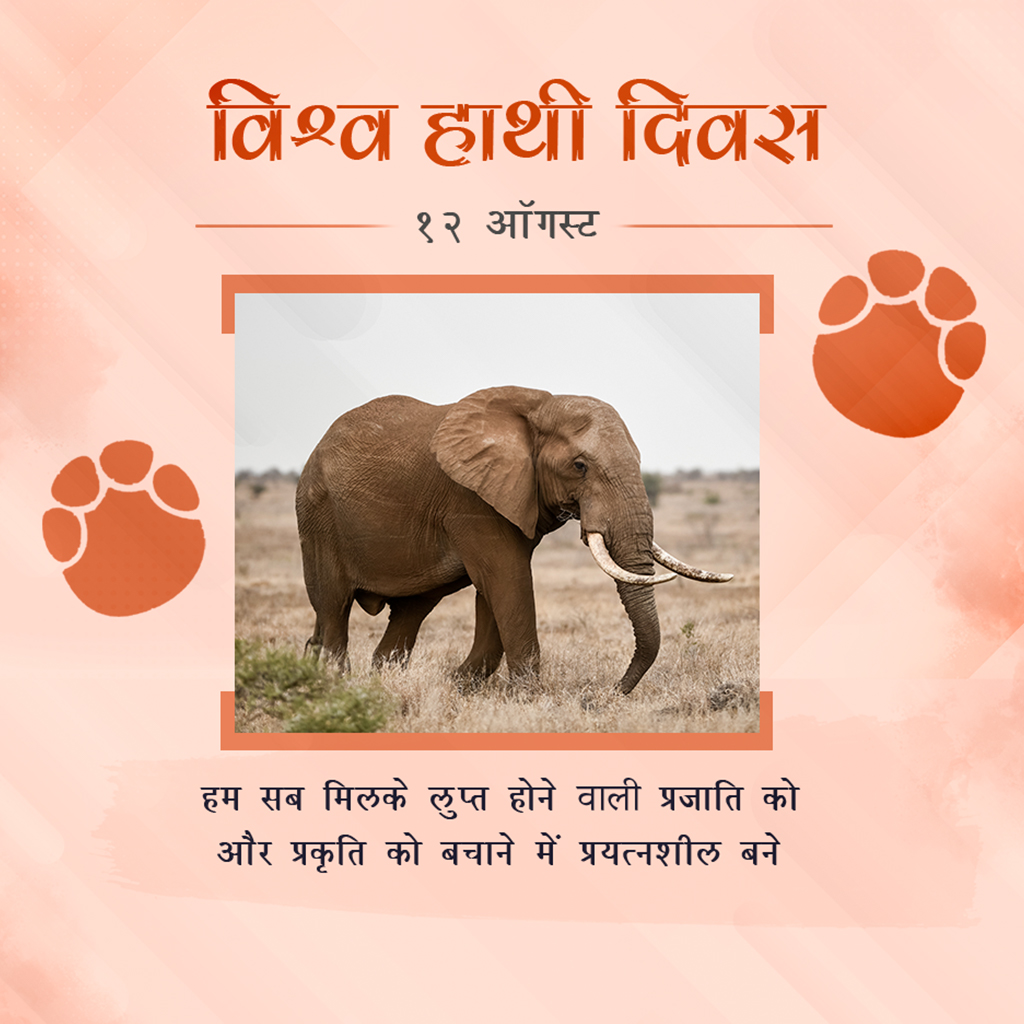 World Elephant Day