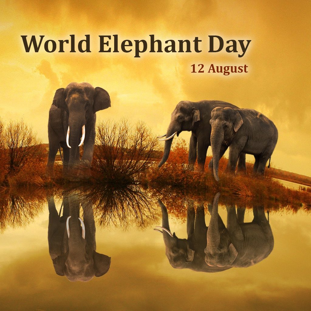 World Elephant Day