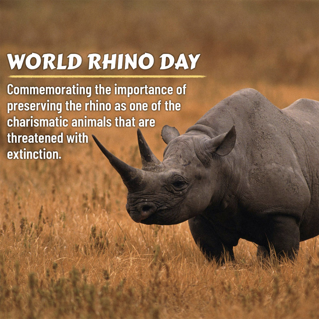 World Rhino Day