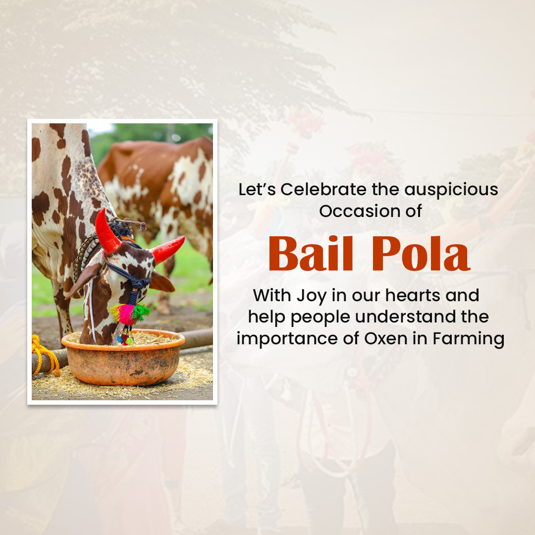 Bail Pola