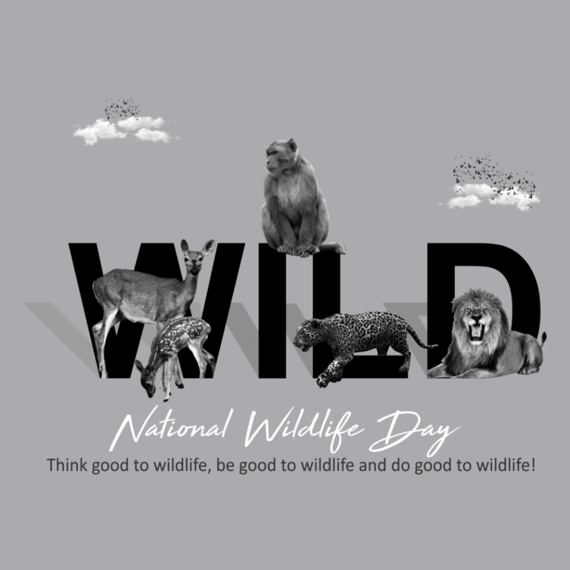 National Animal Day