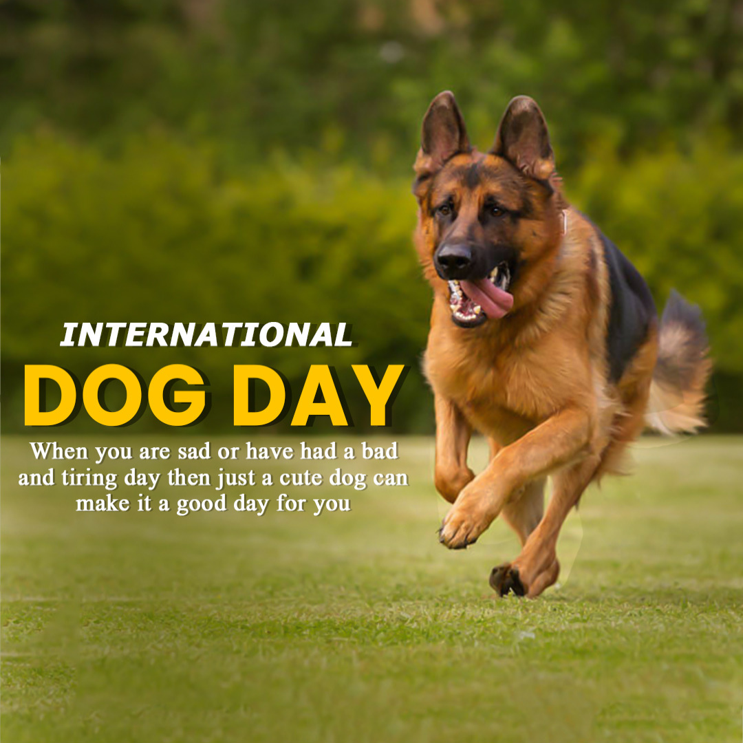 International Dog Day
