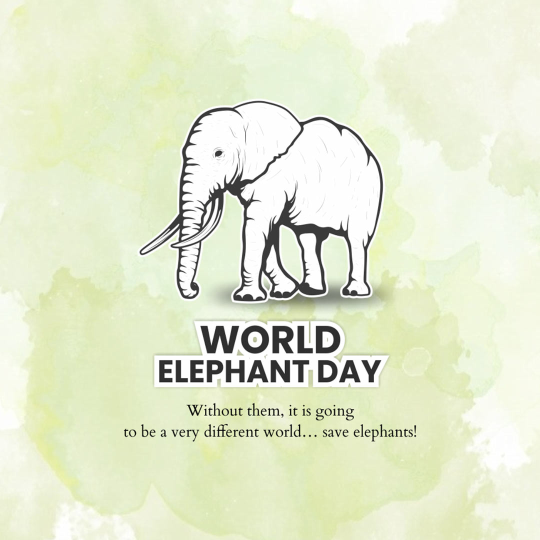 World Elephant Day