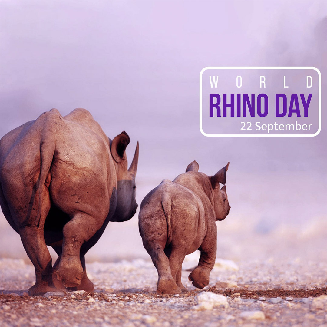 World Rhino Day