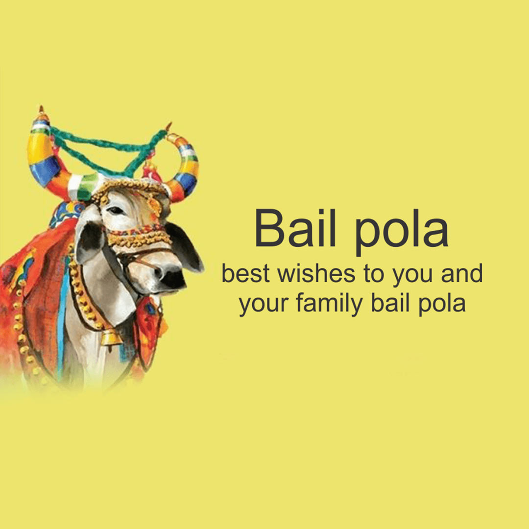 Bail Pola