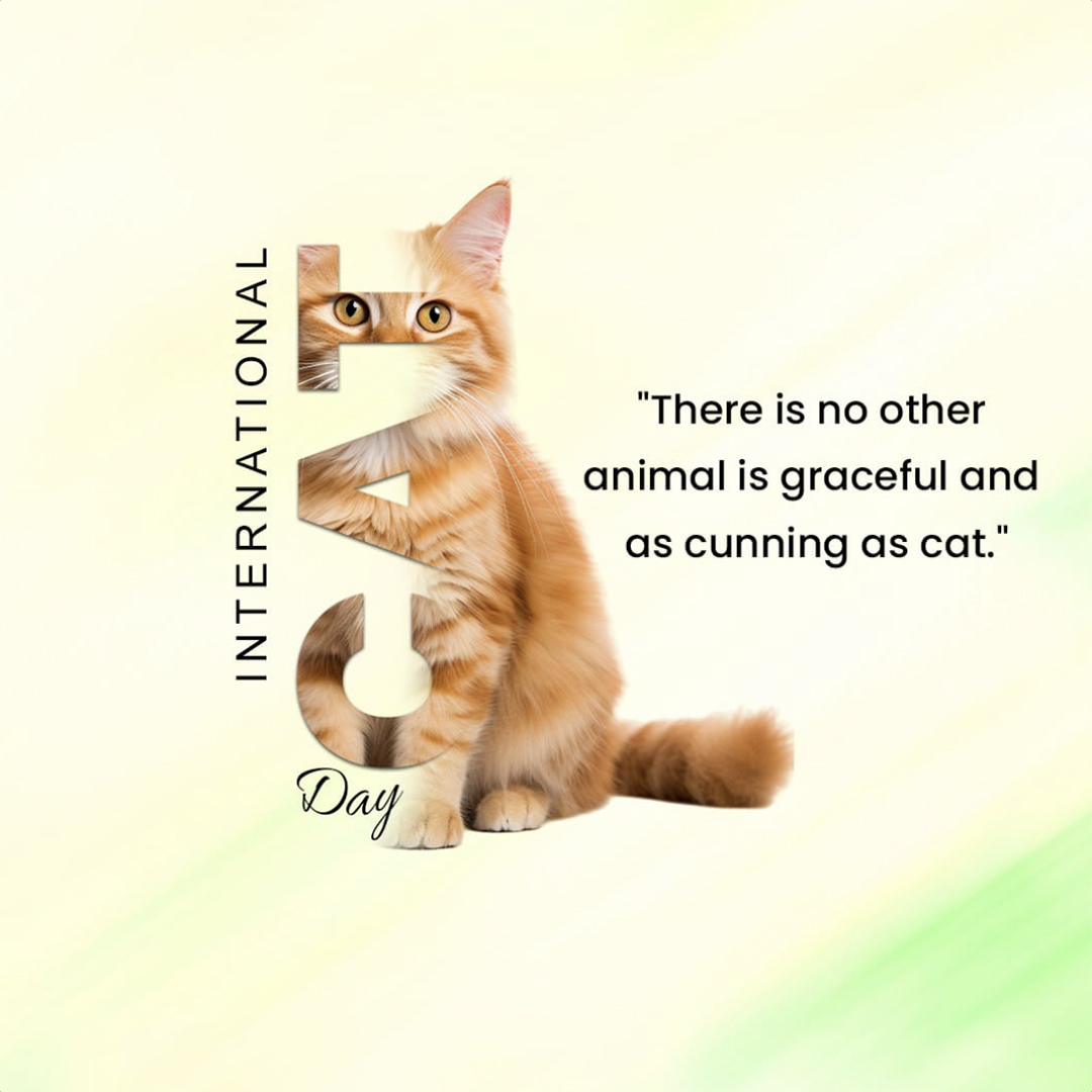 World Cat Day
