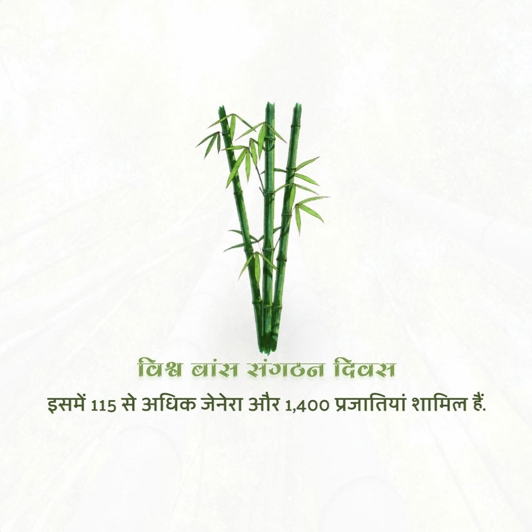 World Bamboo Day
