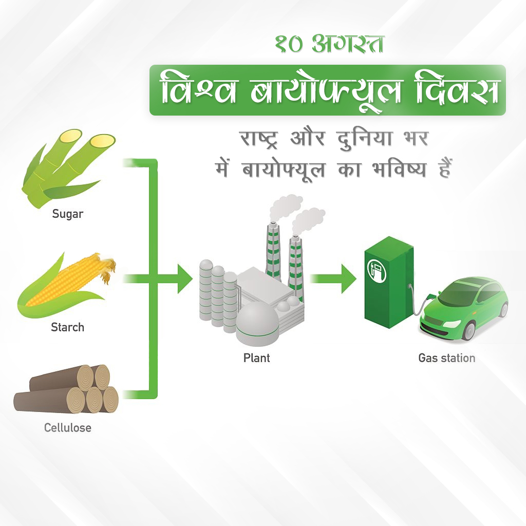 World Biofuel Day