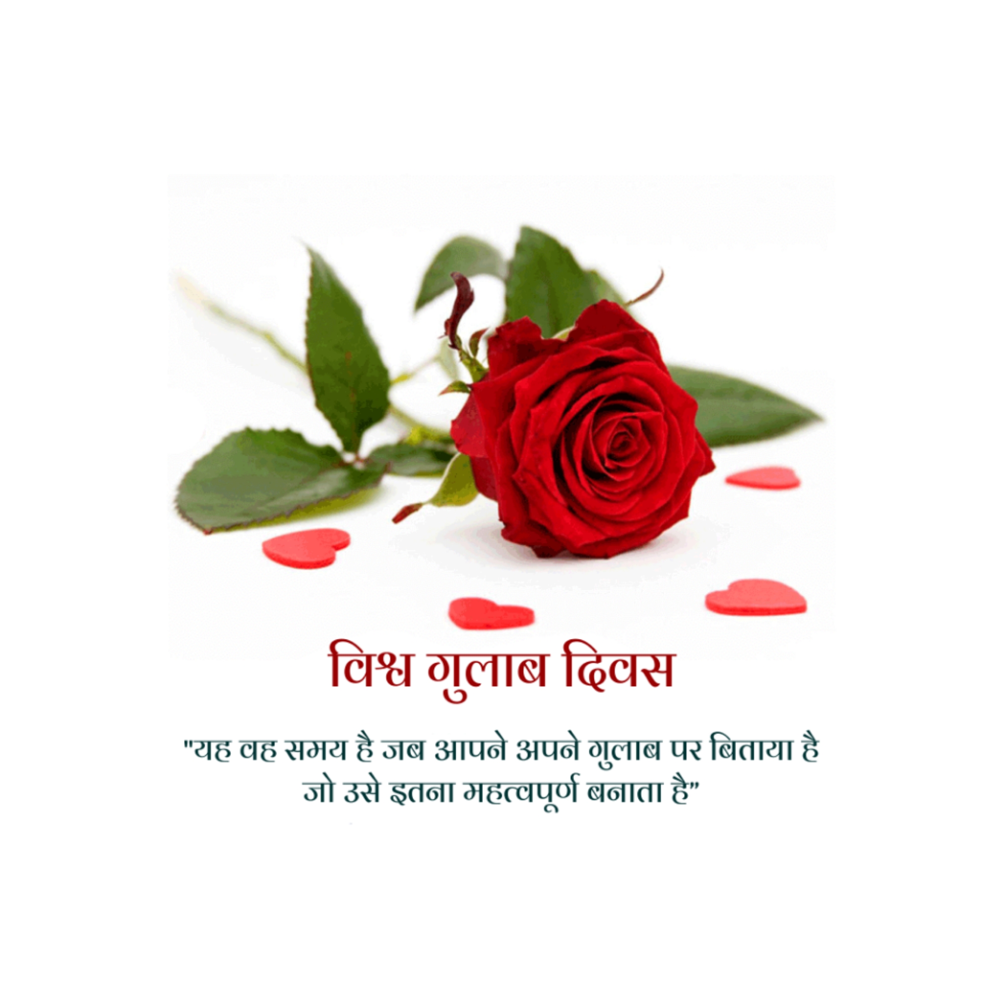 World Rose Day