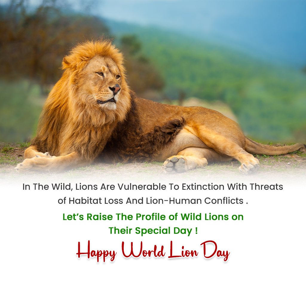 World Lion Day