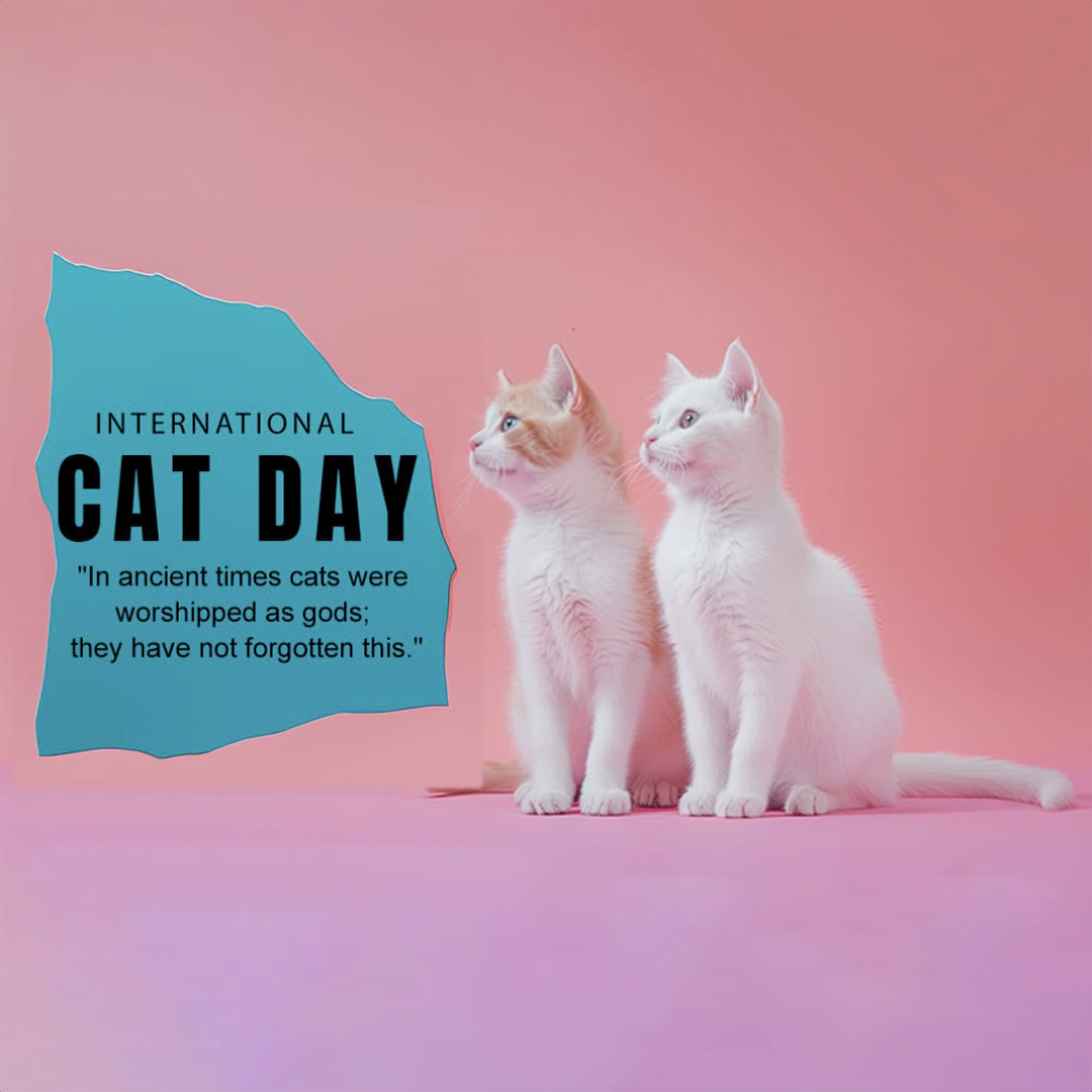 World Cat Day