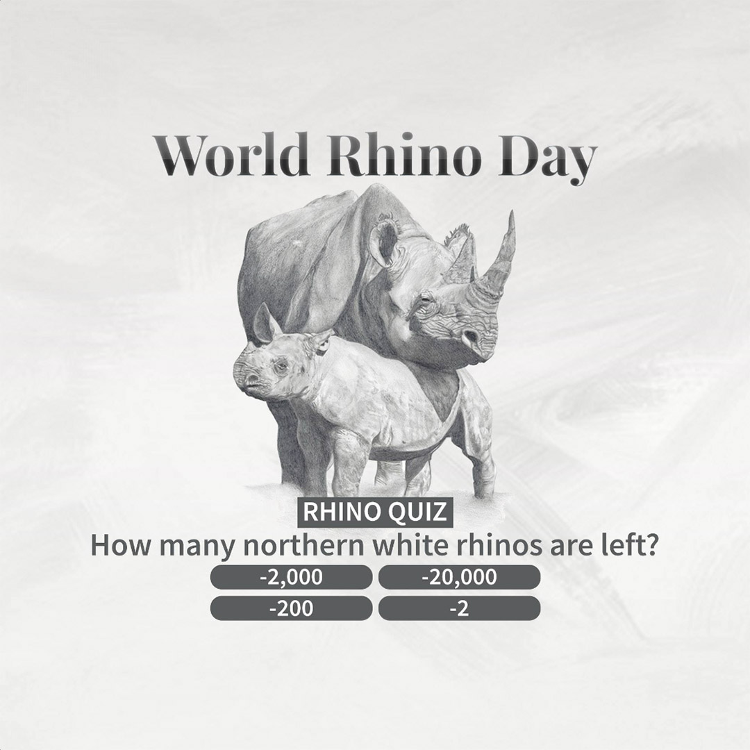 World Rhino Day