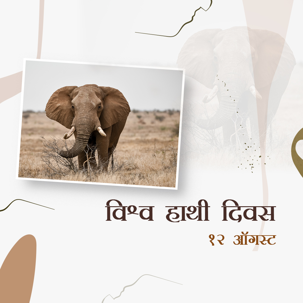 World Elephant Day