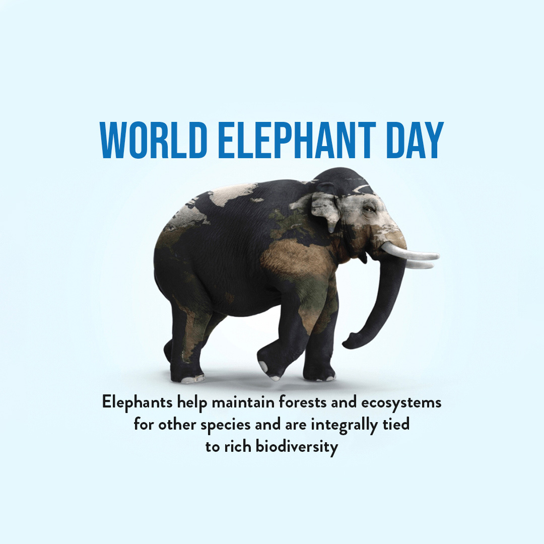 World Elephant Day