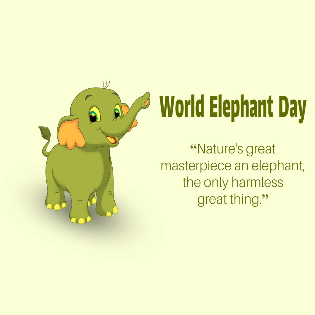 World Elephant Day