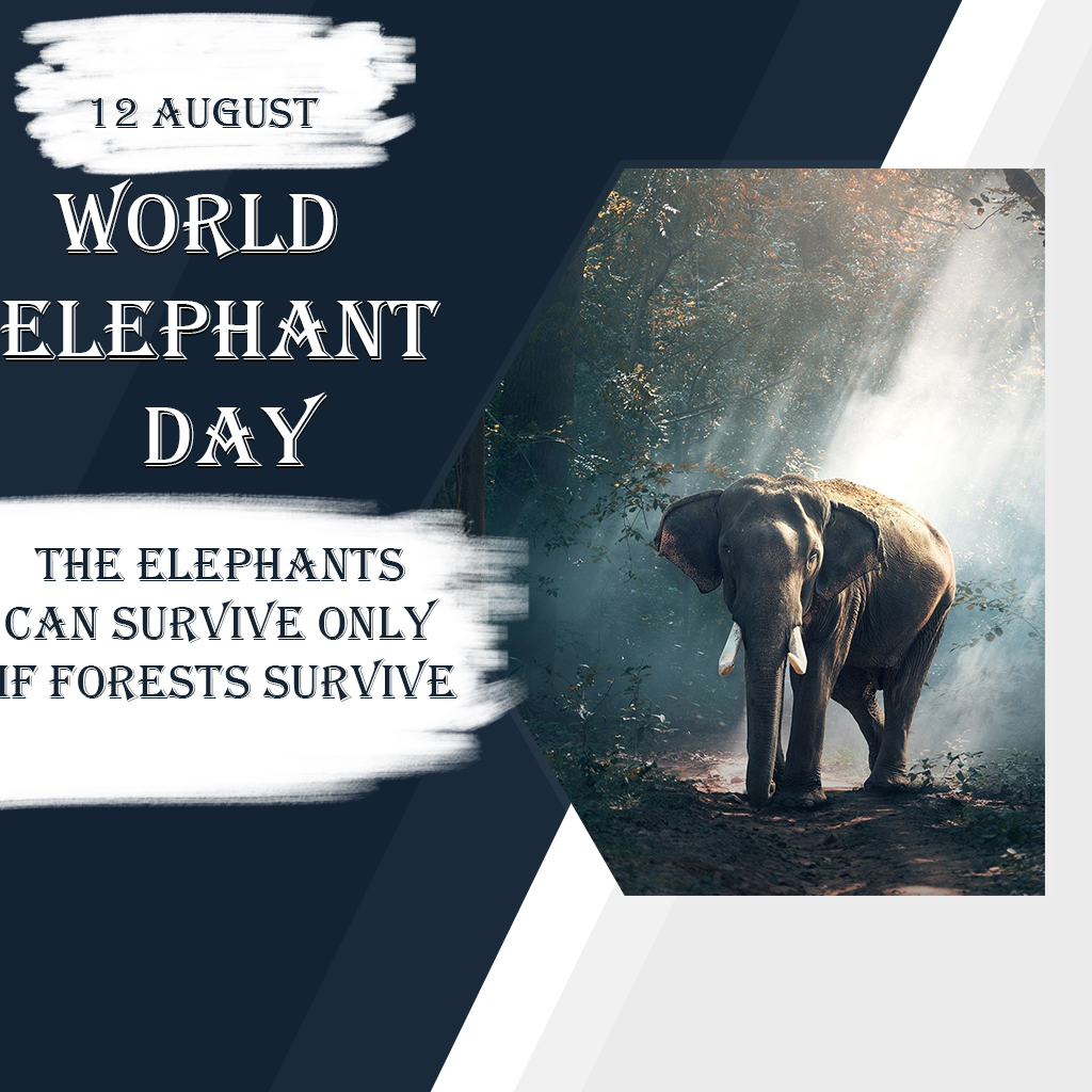 World Elephant Day
