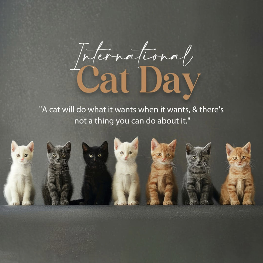 World Cat Day