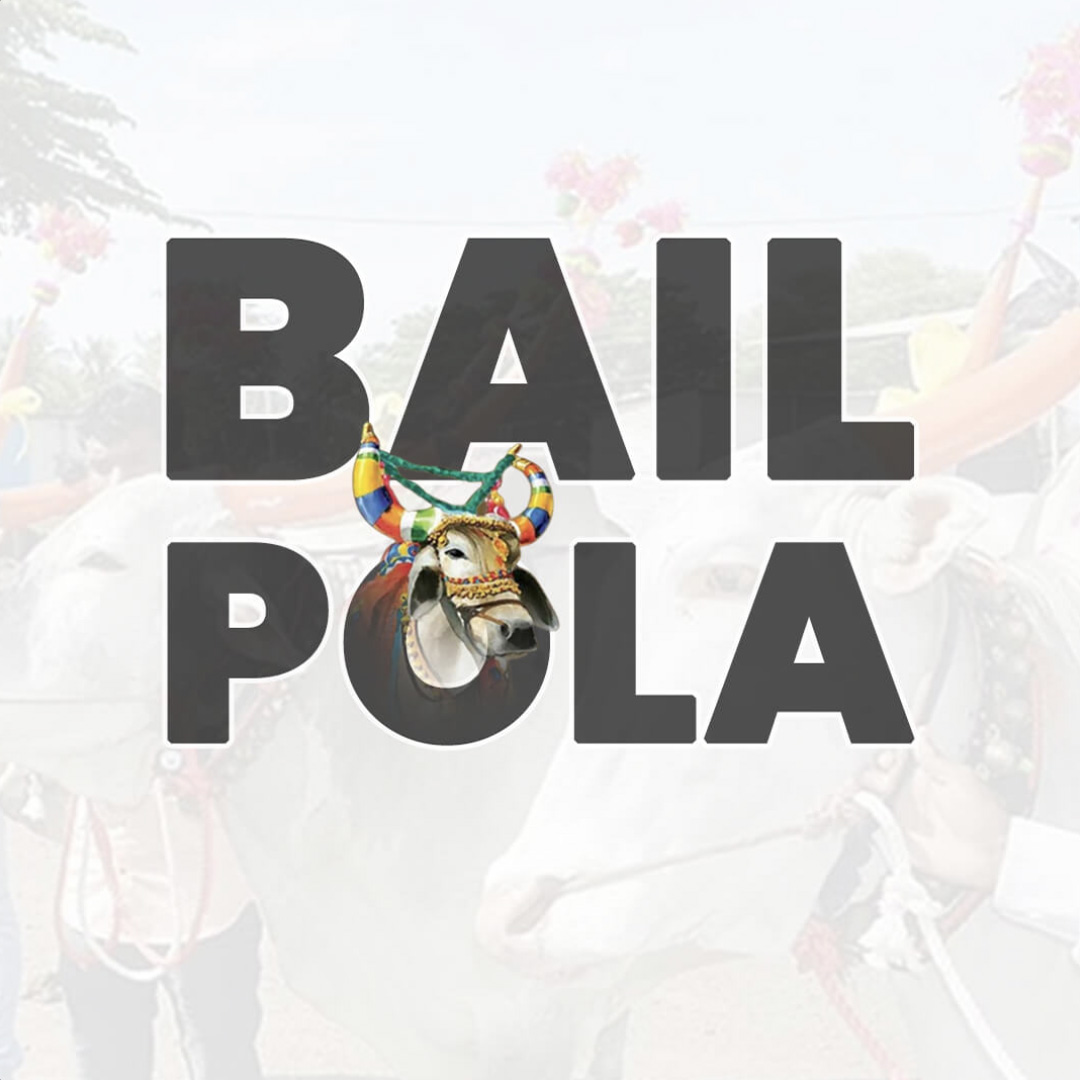 Bail Pola