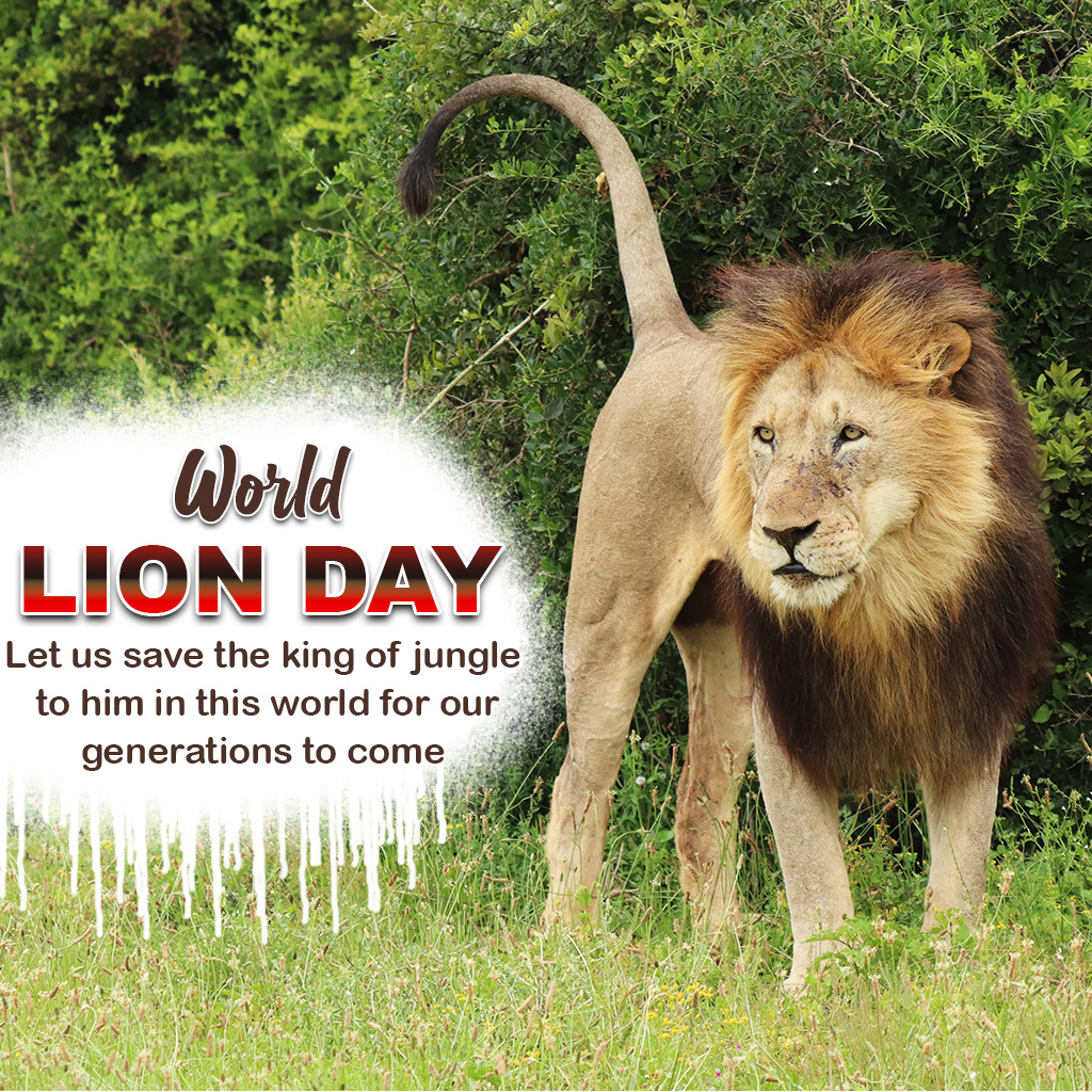 World Lion Day