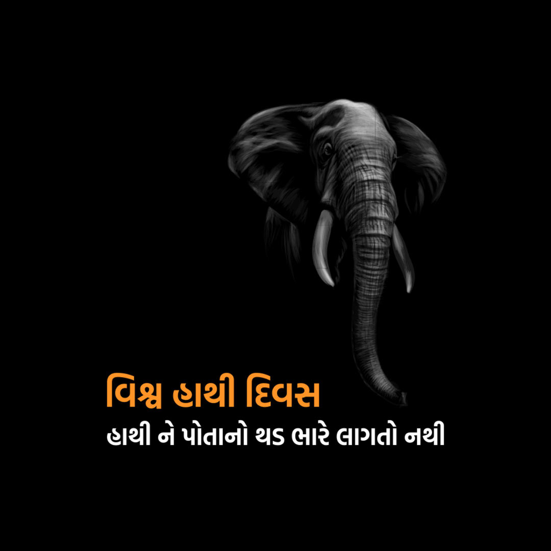 World Elephant Day