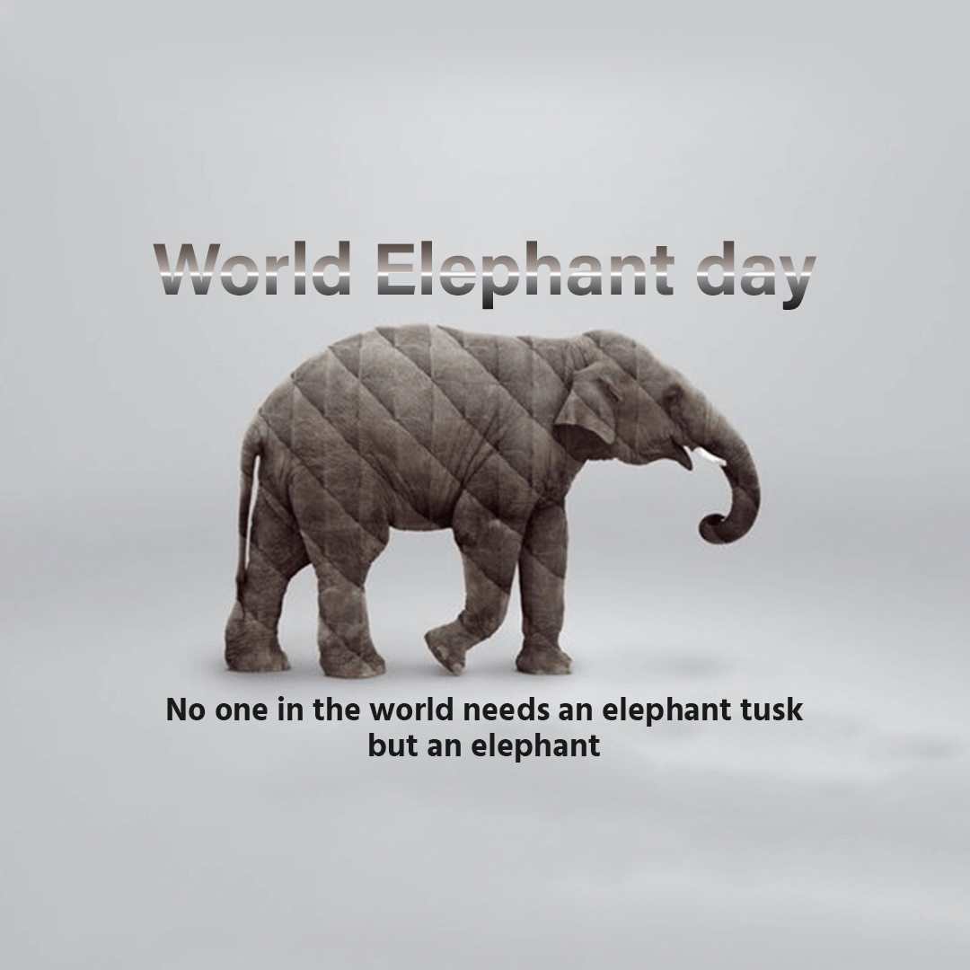 World Elephant Day