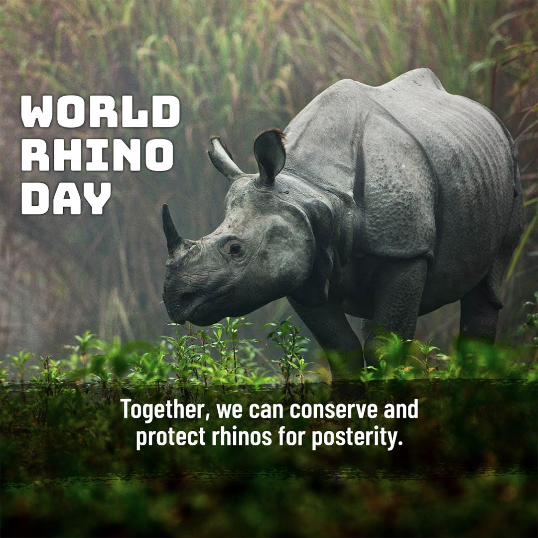 World Rhino Day