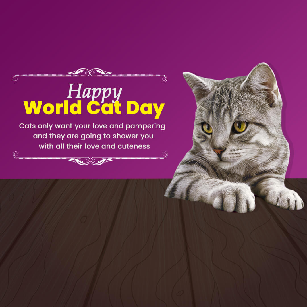 World Cat Day