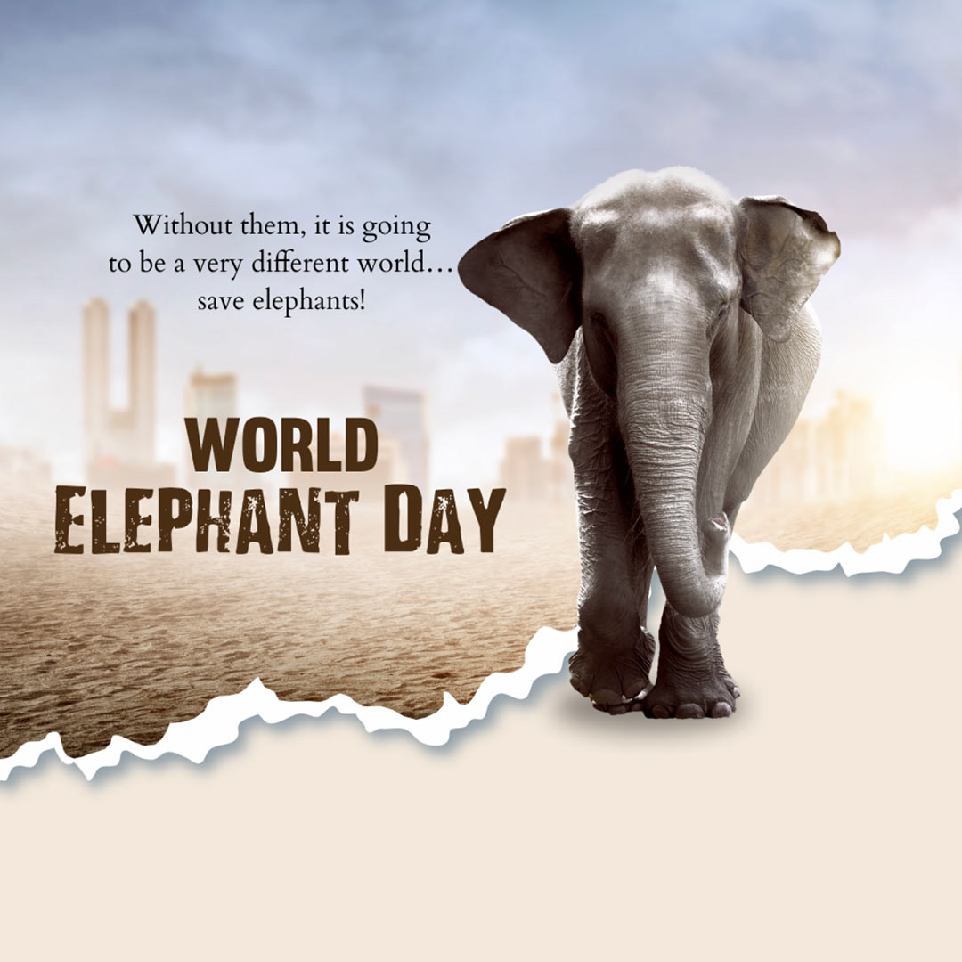 World Elephant Day