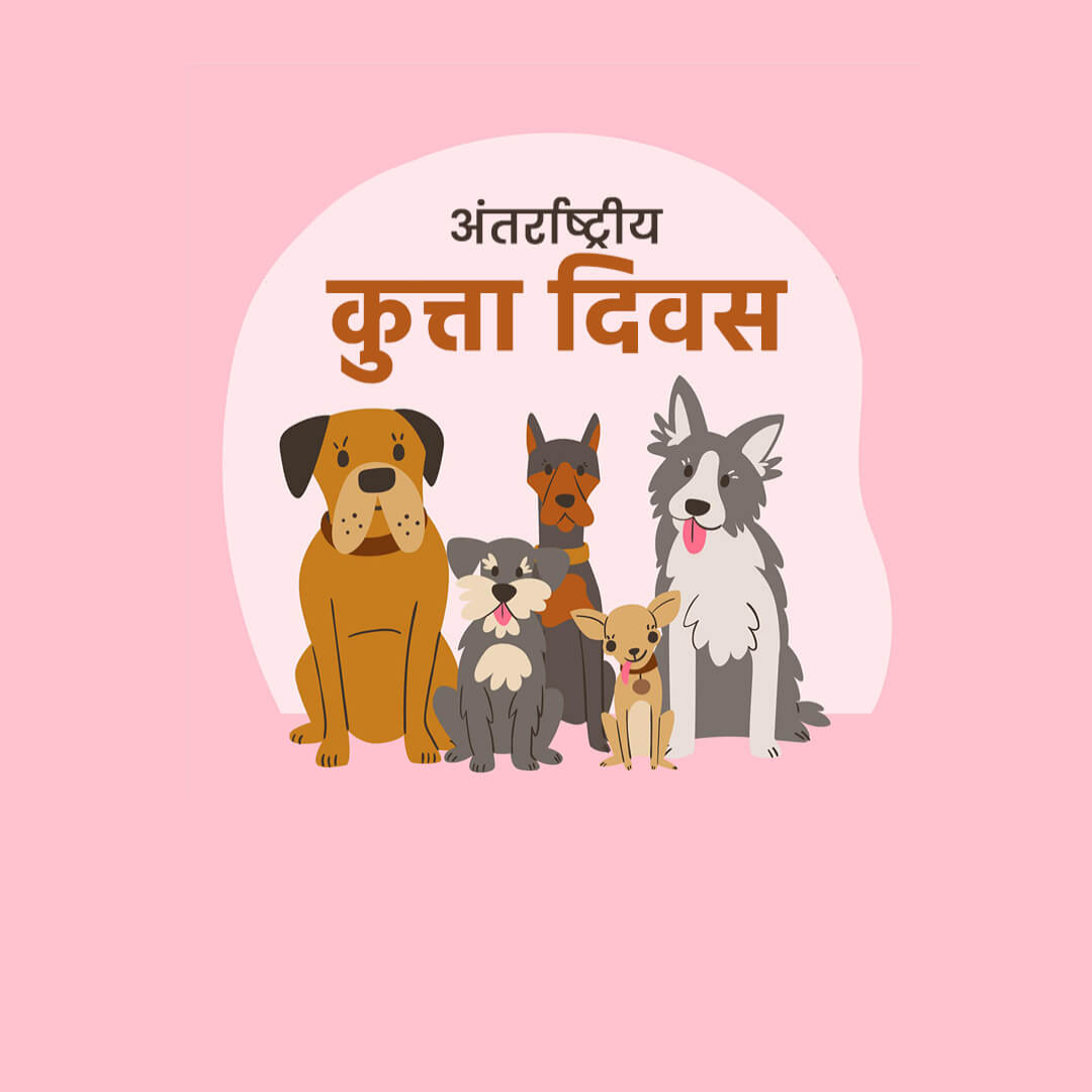 International Dog Day