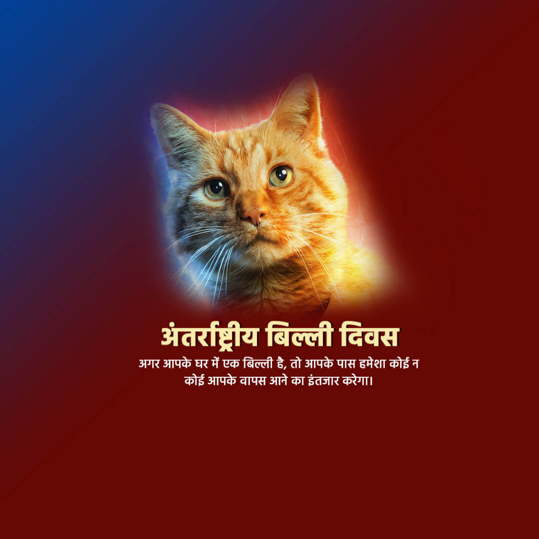World Cat Day