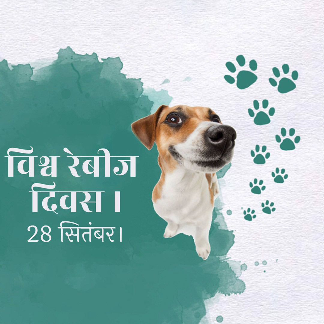 World Rabies Day