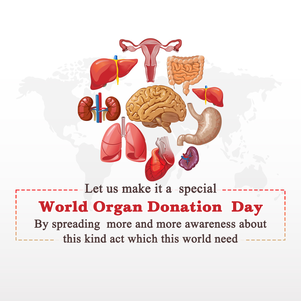 World Organ Donation Day