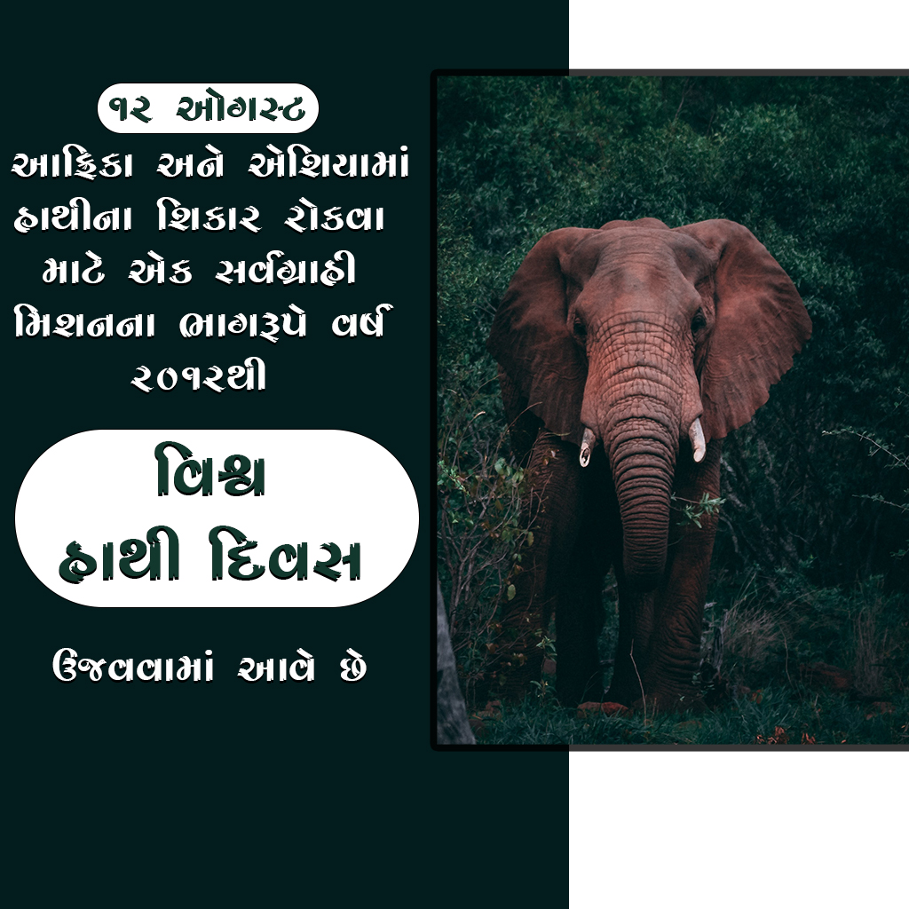 World Elephant Day