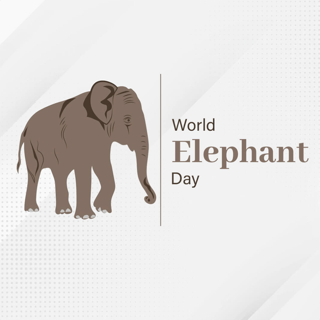 World Elephant Day