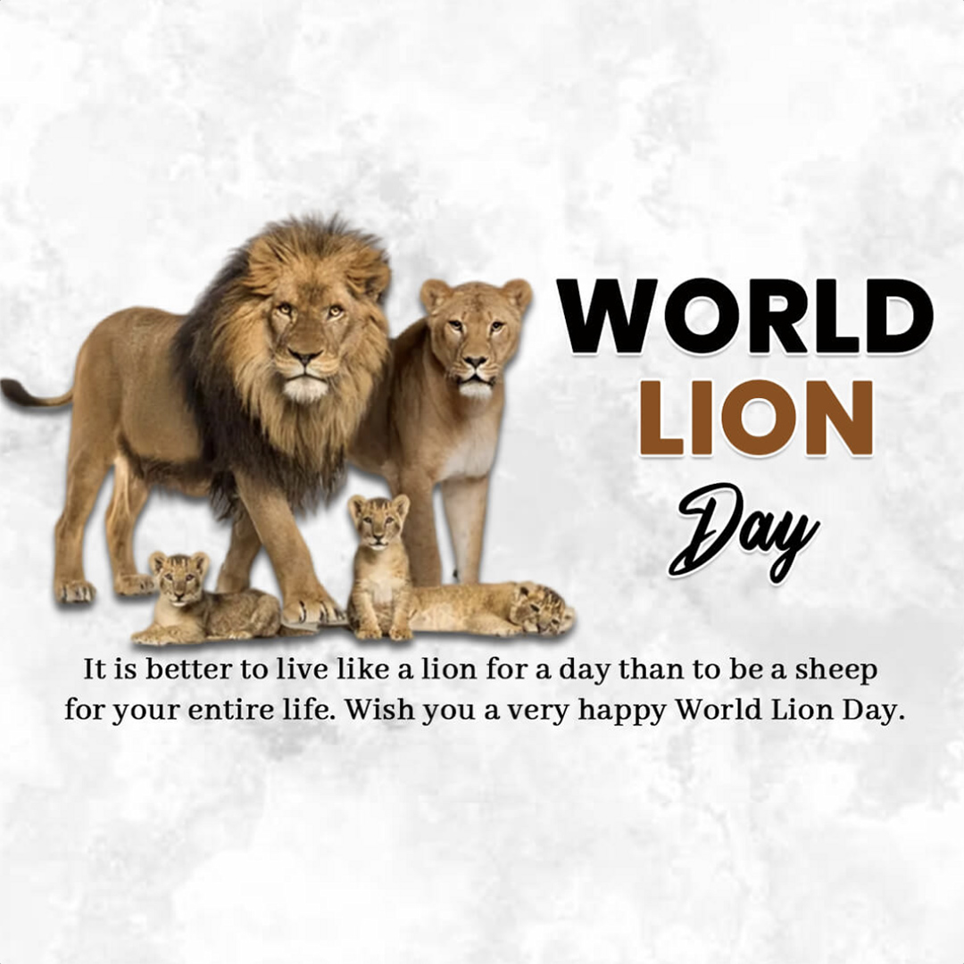 World Lion Day