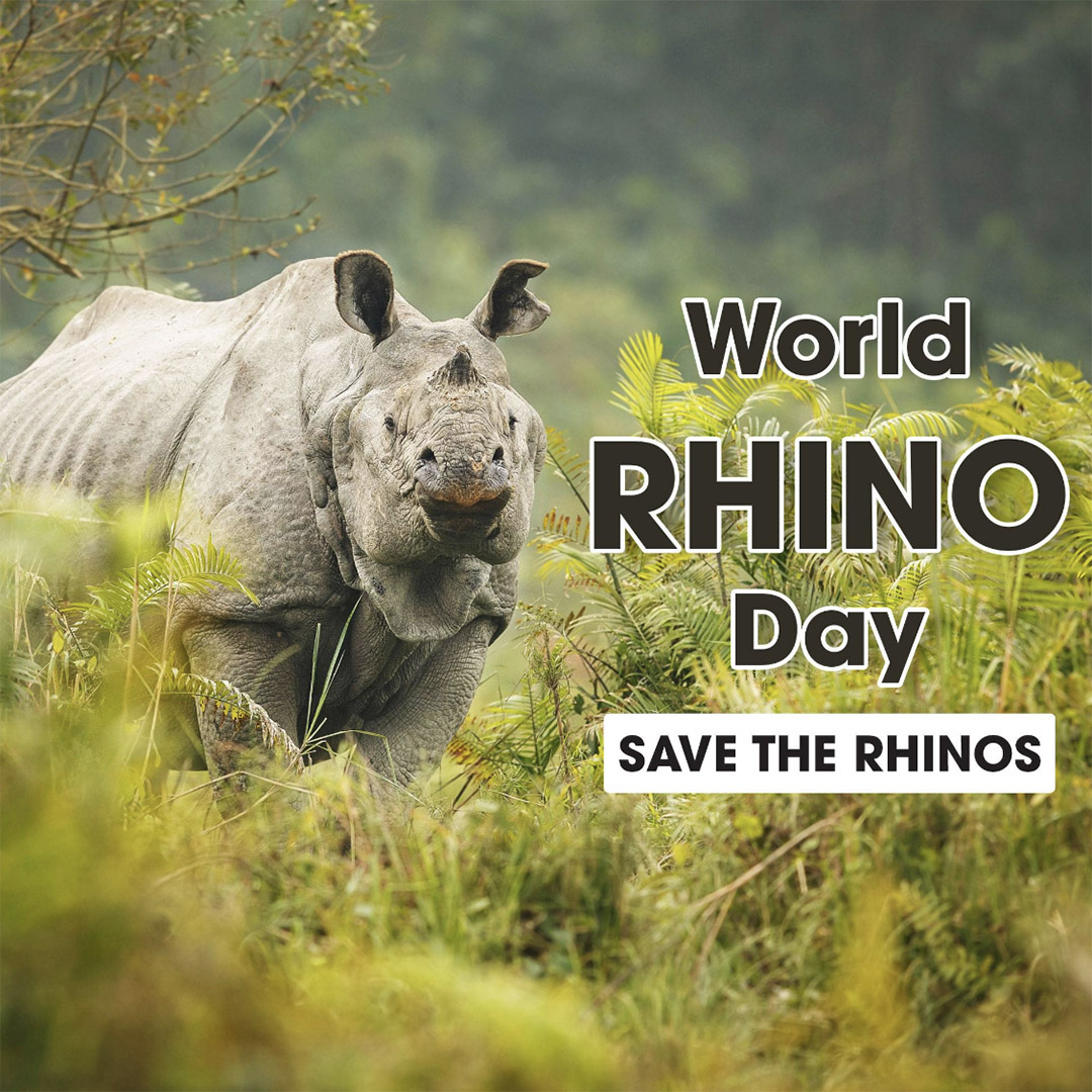World Rhino Day
