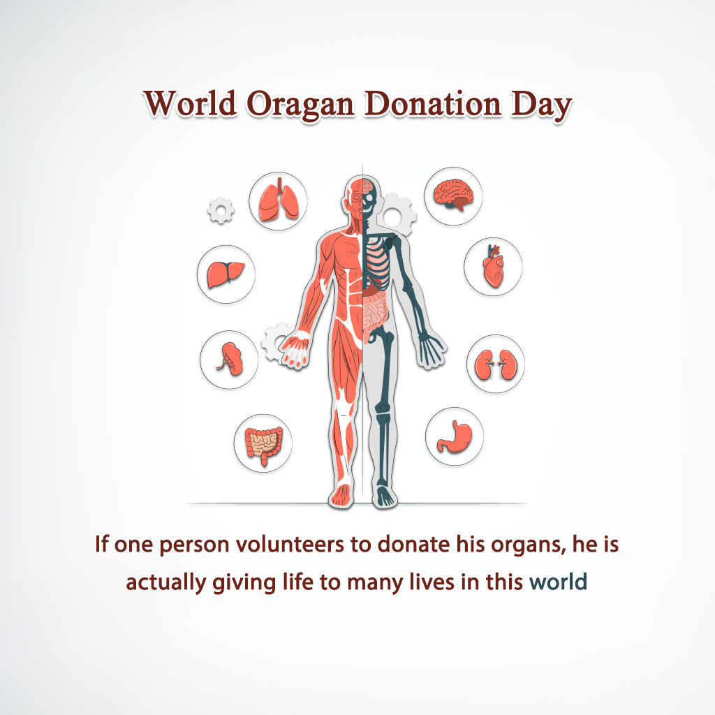 World Organ Donation Day